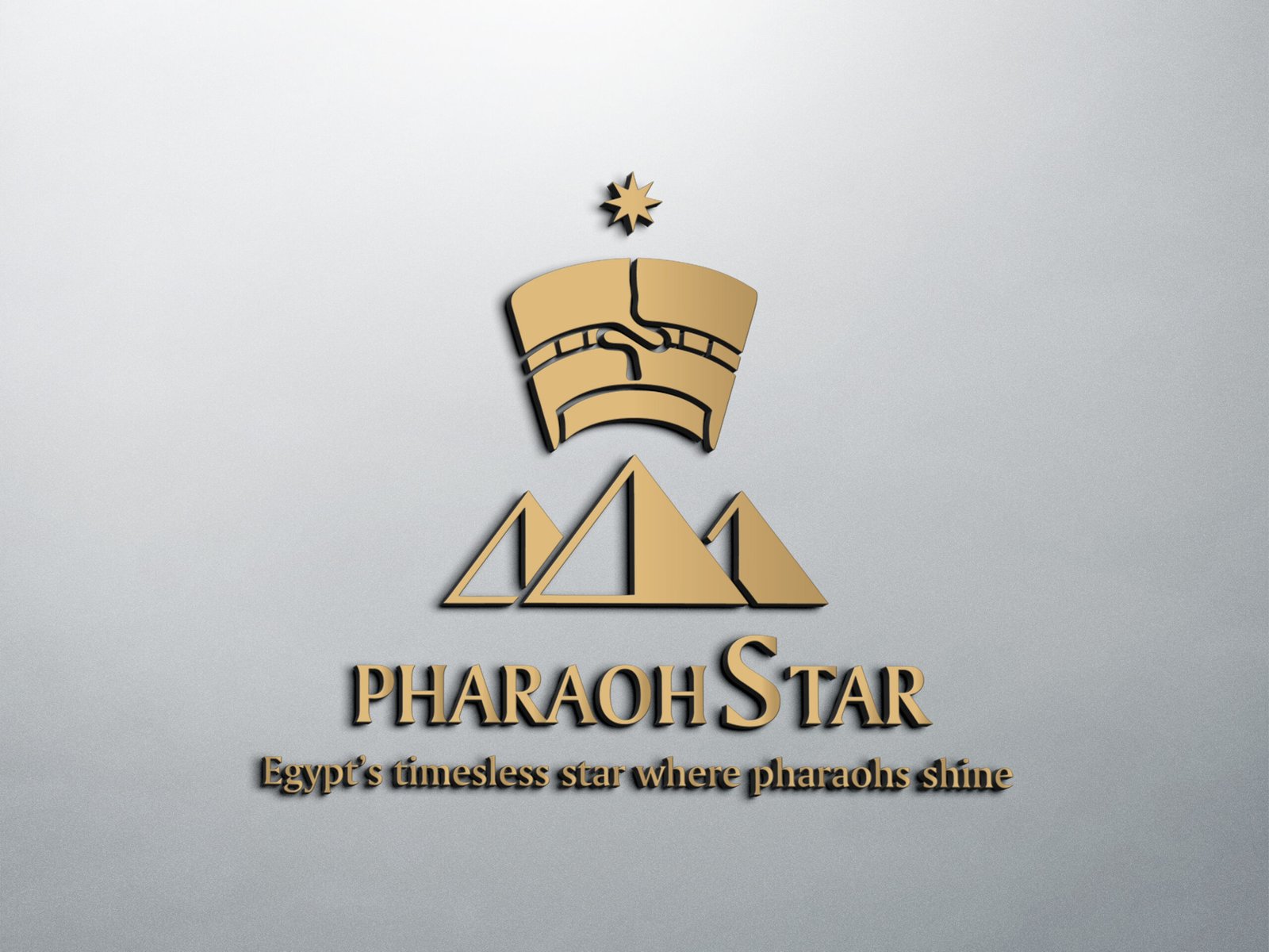 pharaohs star carlos shenouda works