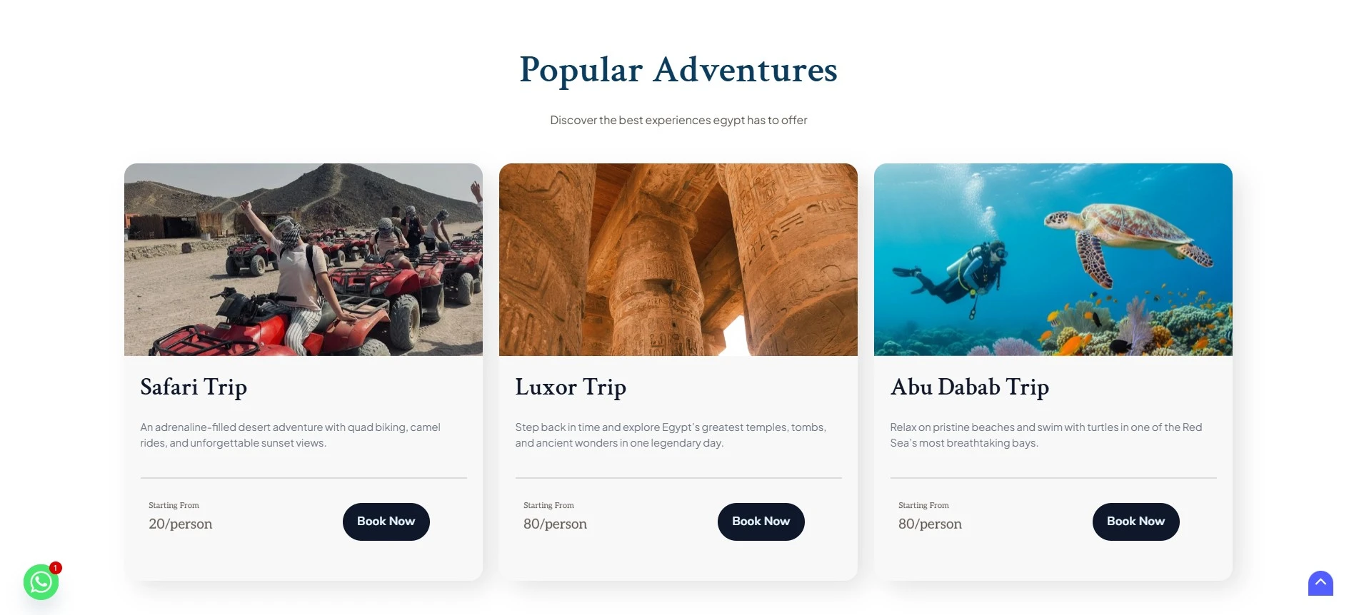 pharaohs star c4d agency web development projects (3)